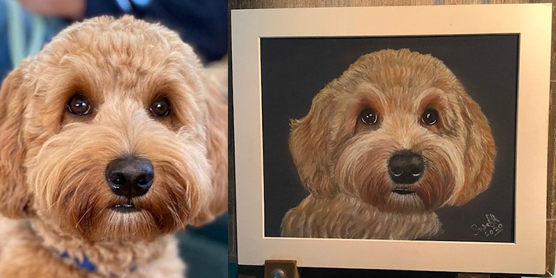 Poodle Commission Poodle Commission