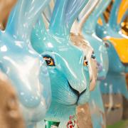 Hares of Hampshire