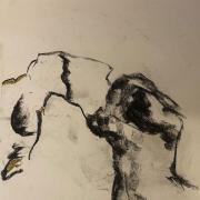 Trina Hart | Lymington Art Scene