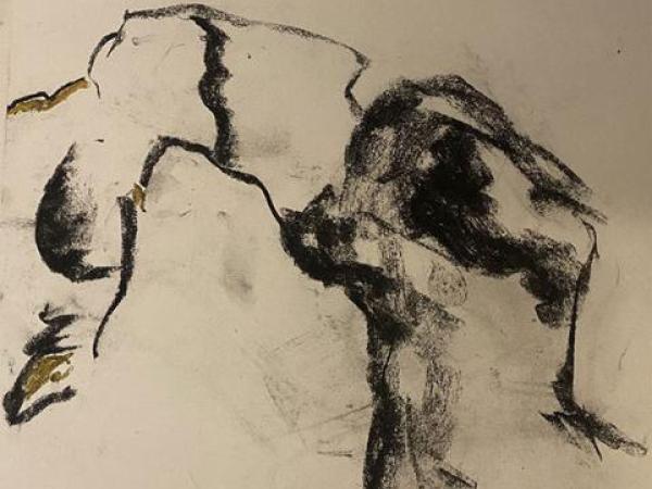 Trina Hart | Lymington Art Scene