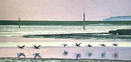 Marion Royle | Lymington Art Scene